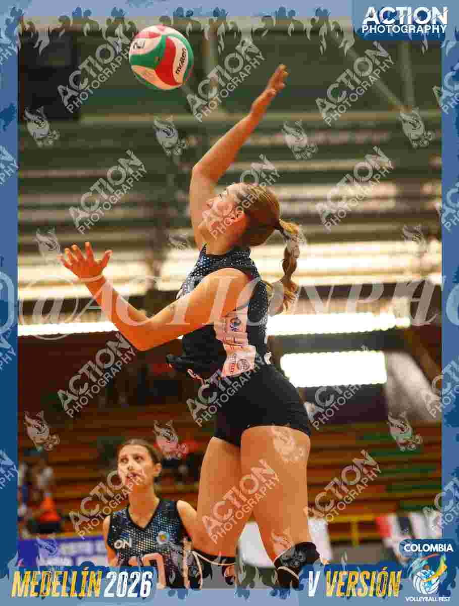 TIGRES F Foto 1