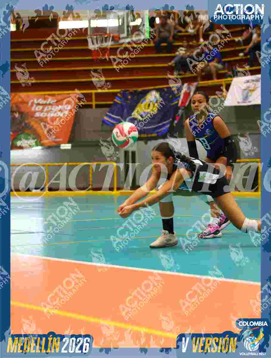 TIGRES F Foto 11