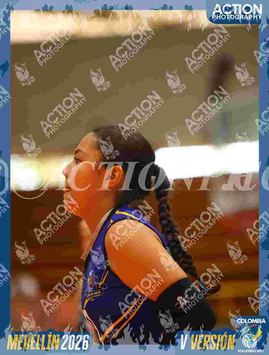 Preview de TIGRES F